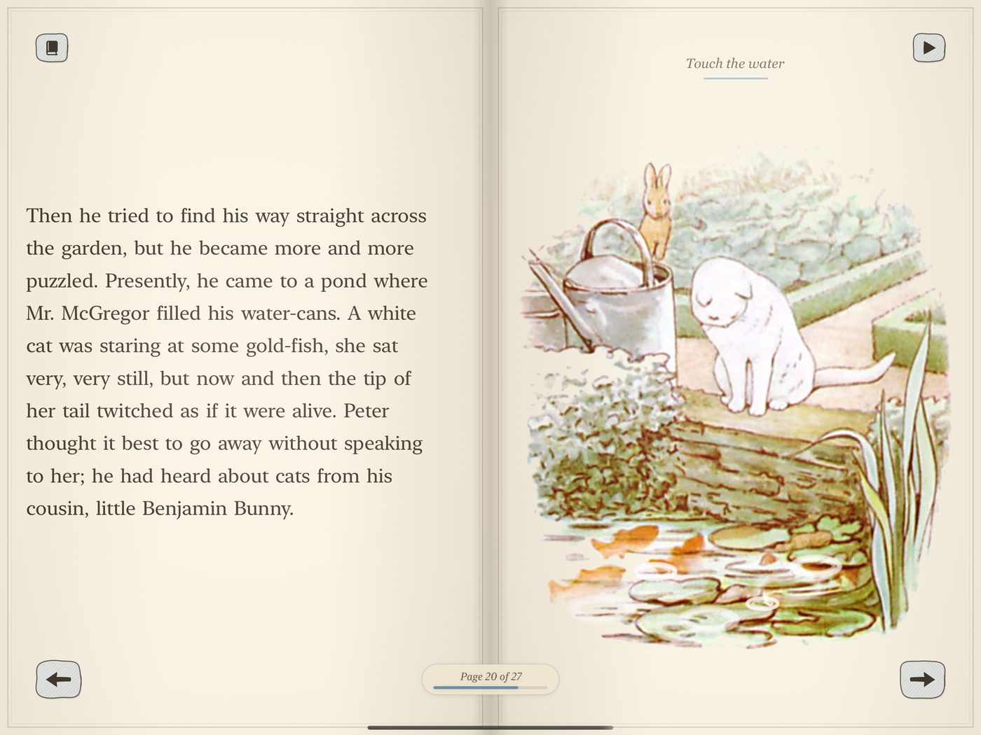A white cat sitting beside a pond of goldfish and lily pads, with rings spreading on the water